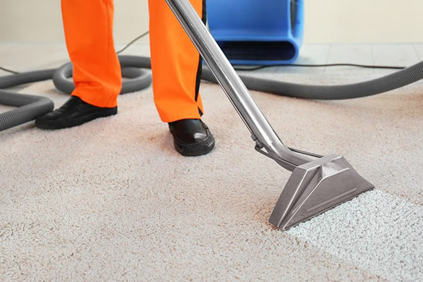 Carpet Cleaning Craigieburn